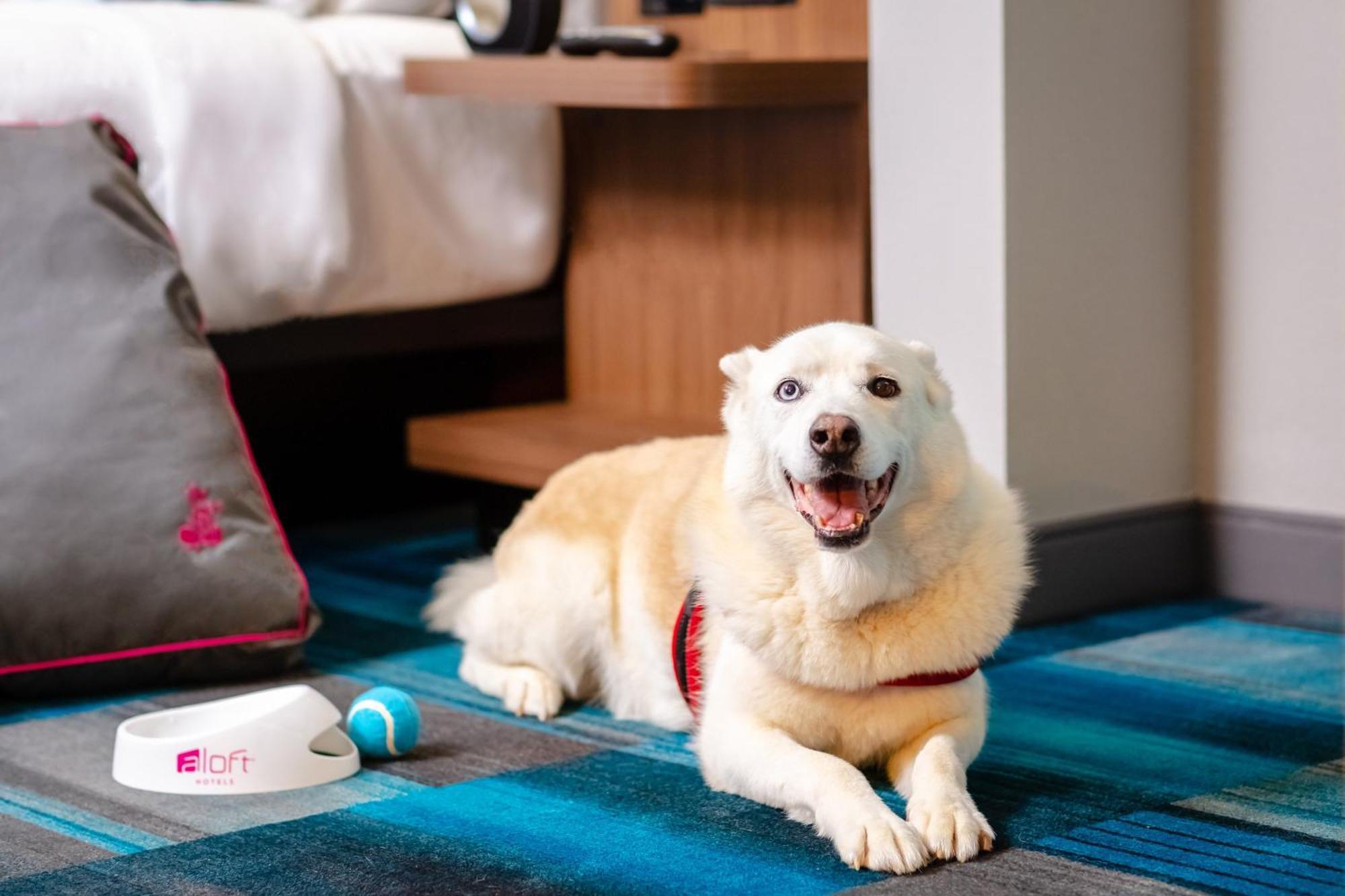 Готель Aloft Columbia Harbison Екстер'єр фото